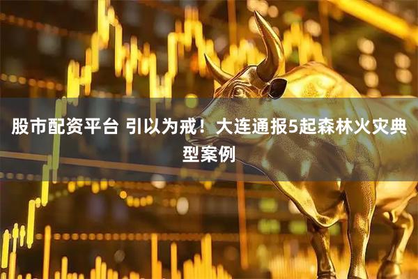 股市配资平台 引以为戒！大连通报5起森林火灾典型案例